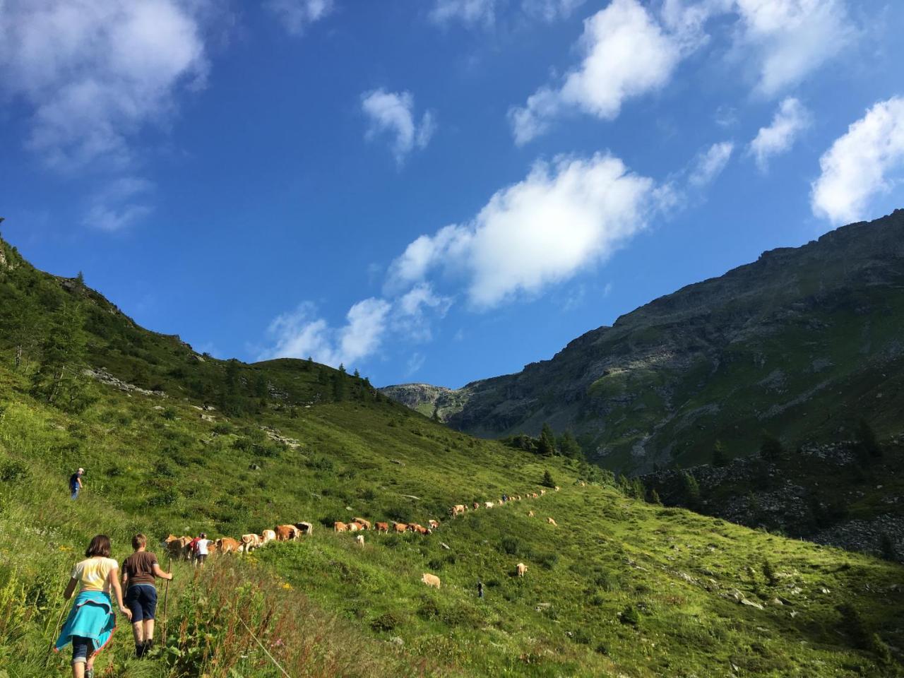 Bergbauernhof Stauder - Hirschbergalpakas Βίλα Lendorf Εξωτερικό φωτογραφία